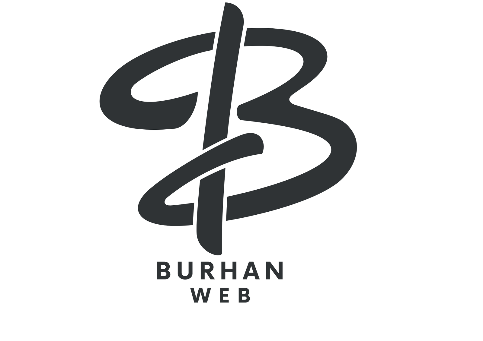 burhanweb.online